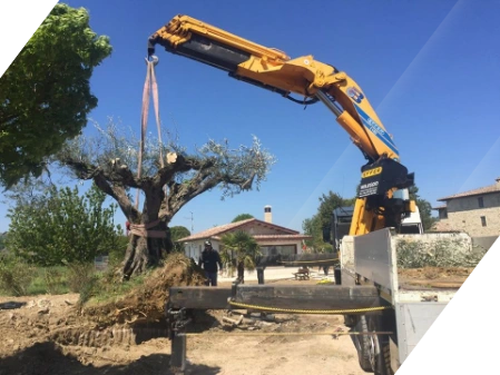 Autotrasporti Brufani |Bastia Umbra Perugia |Autotrasporti| Noleggio autocarri con e con cestello |Sollevamento pannelli XLAM